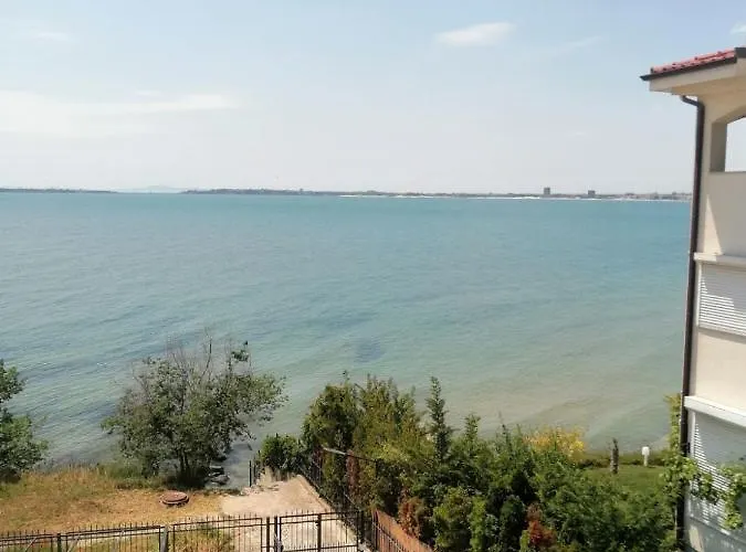 хоризонт м * 스베티 블라스